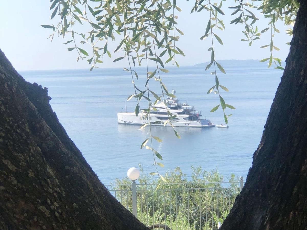 Vladimiros Apartments Barbati Exteriör bild