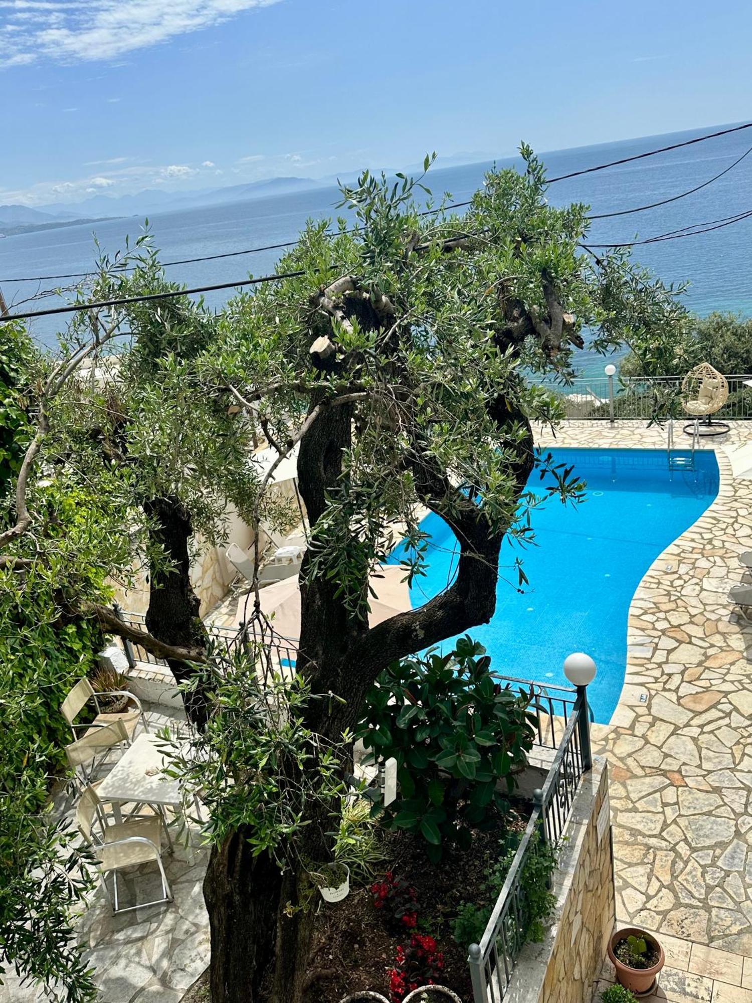 Vladimiros Apartments Barbati Exteriör bild