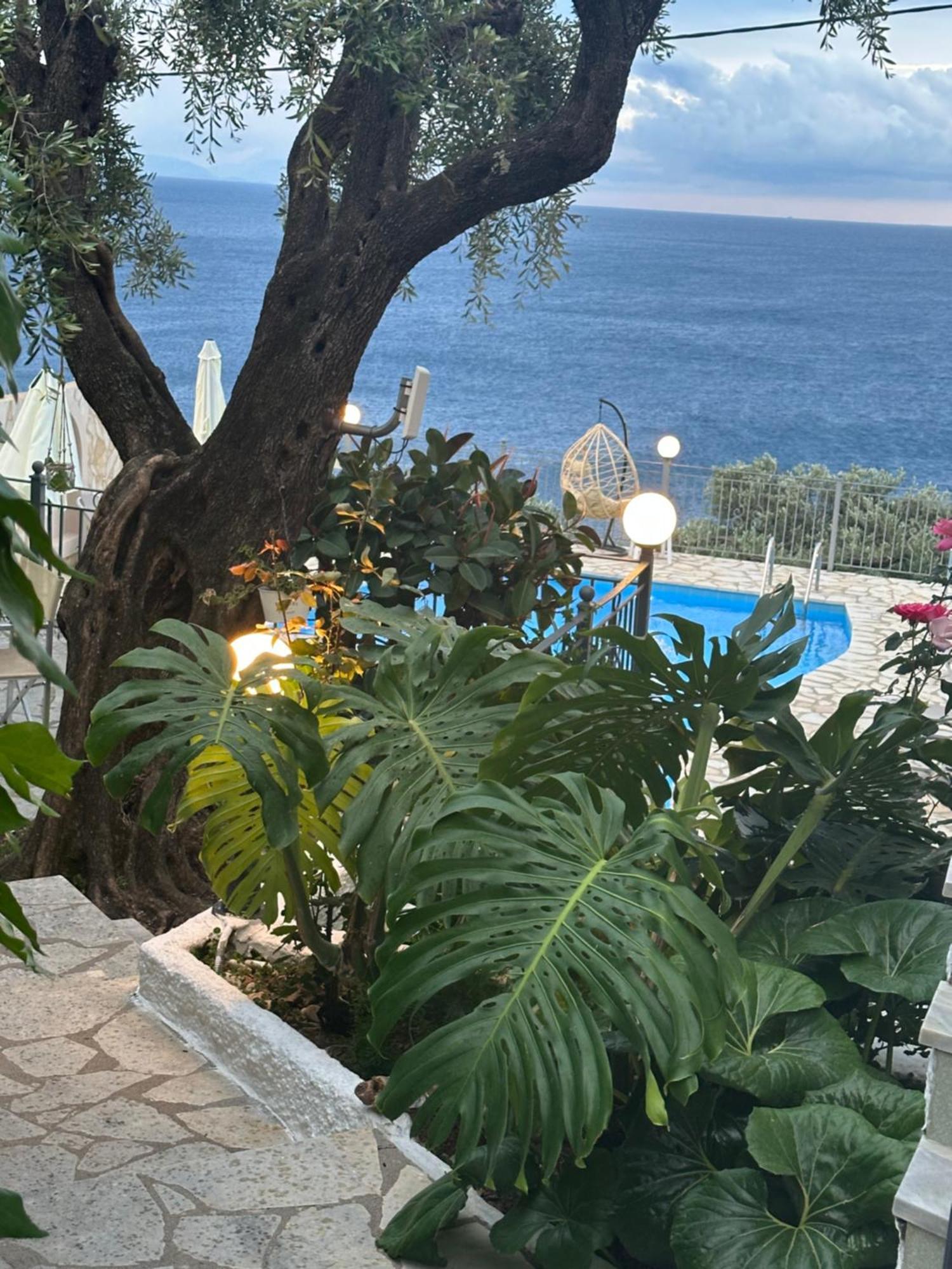 Vladimiros Apartments Barbati Exteriör bild